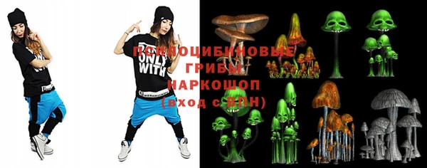 СК Горняк