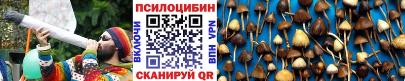 Псилоцибиновые грибы Cubensis  Великий Новгород 