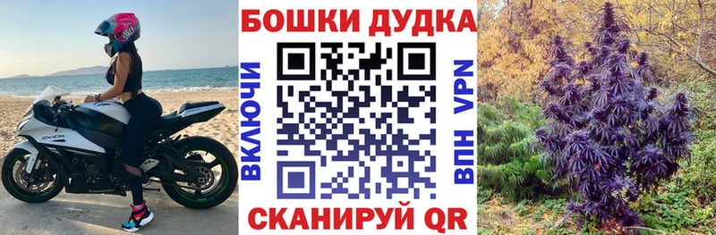 Канабис OG Kush  как найти закладки  Великий Новгород 